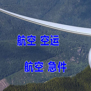 大理凤仪机场物流快递-选东方航空和上海航空