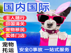 大理凤仪机场物流国际宠物托运 【国